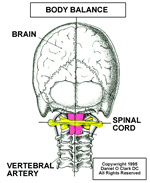 a balanced body with the upper cervical procedure